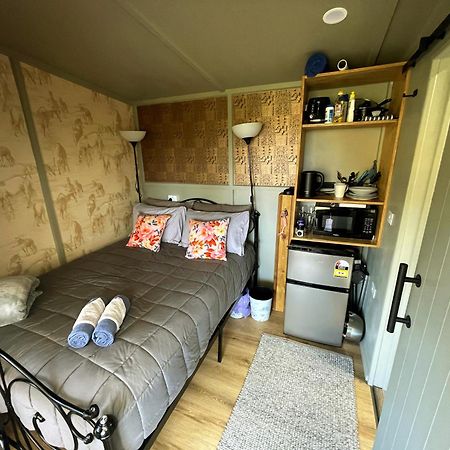 Bush Cabin Your Own Place Stunning Views Taumarunui Εξωτερικό φωτογραφία
