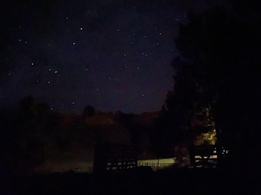 Bush Cabin Your Own Place Stunning Views Taumarunui Εξωτερικό φωτογραφία